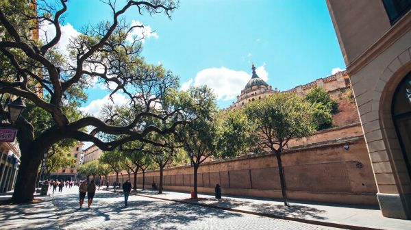 Découvrez les meilleurs professeurs de batterie à Avignon